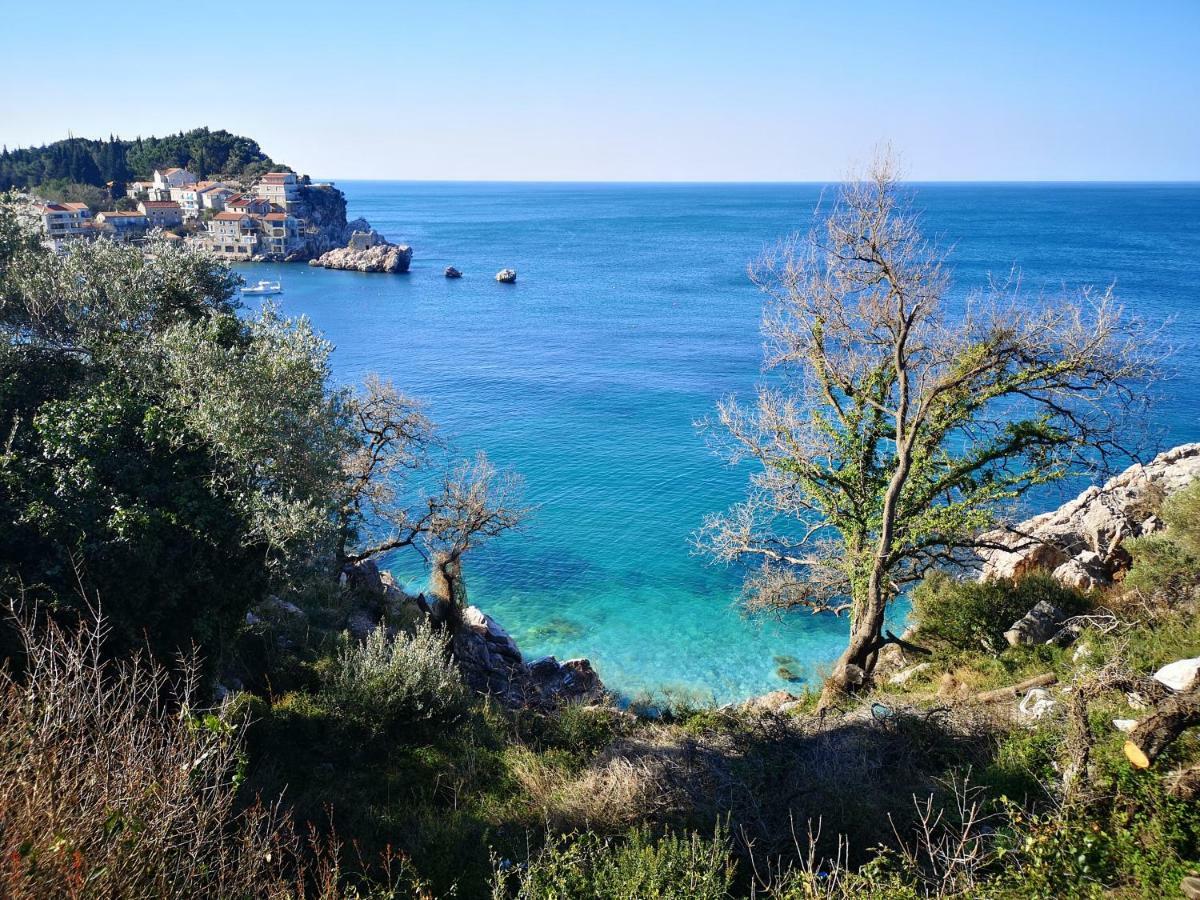 Langust - Free Parking Lägenhet Sveti Stefan Exteriör bild