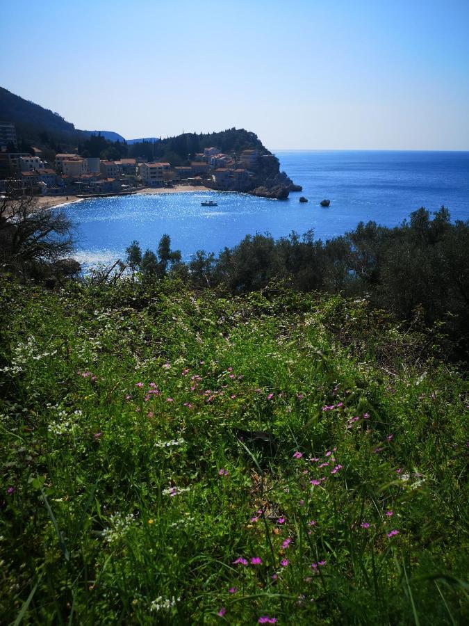 Langust - Free Parking Lägenhet Sveti Stefan Exteriör bild