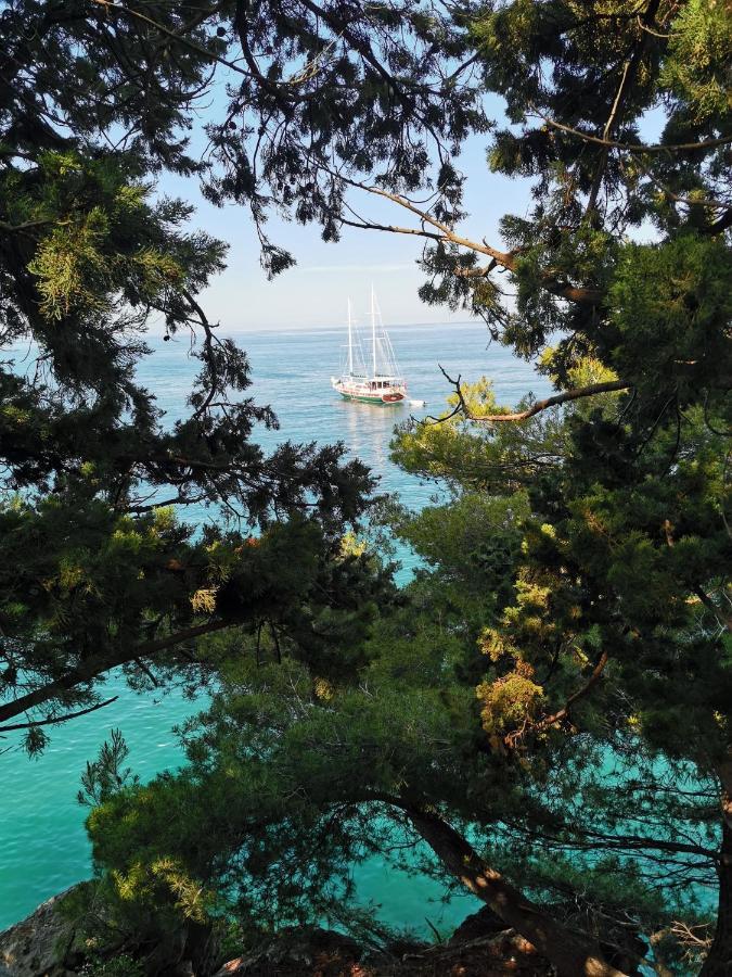 Langust - Free Parking Lägenhet Sveti Stefan Exteriör bild